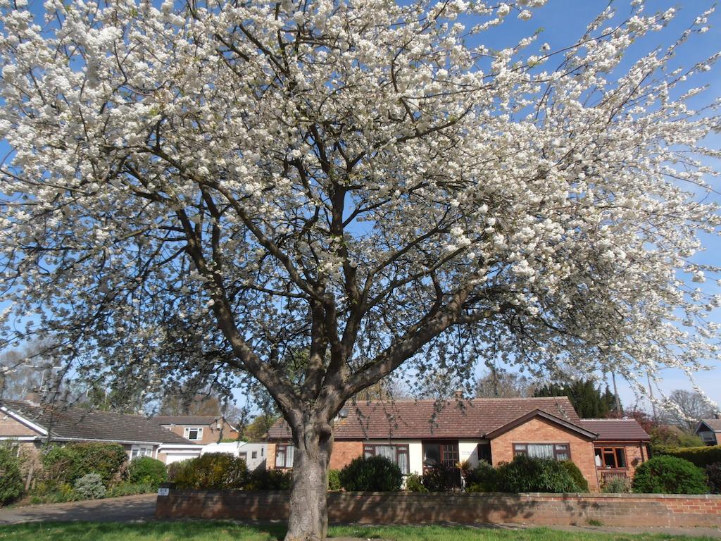The Hideaway Suite Holiday Home Colchester Esterno foto