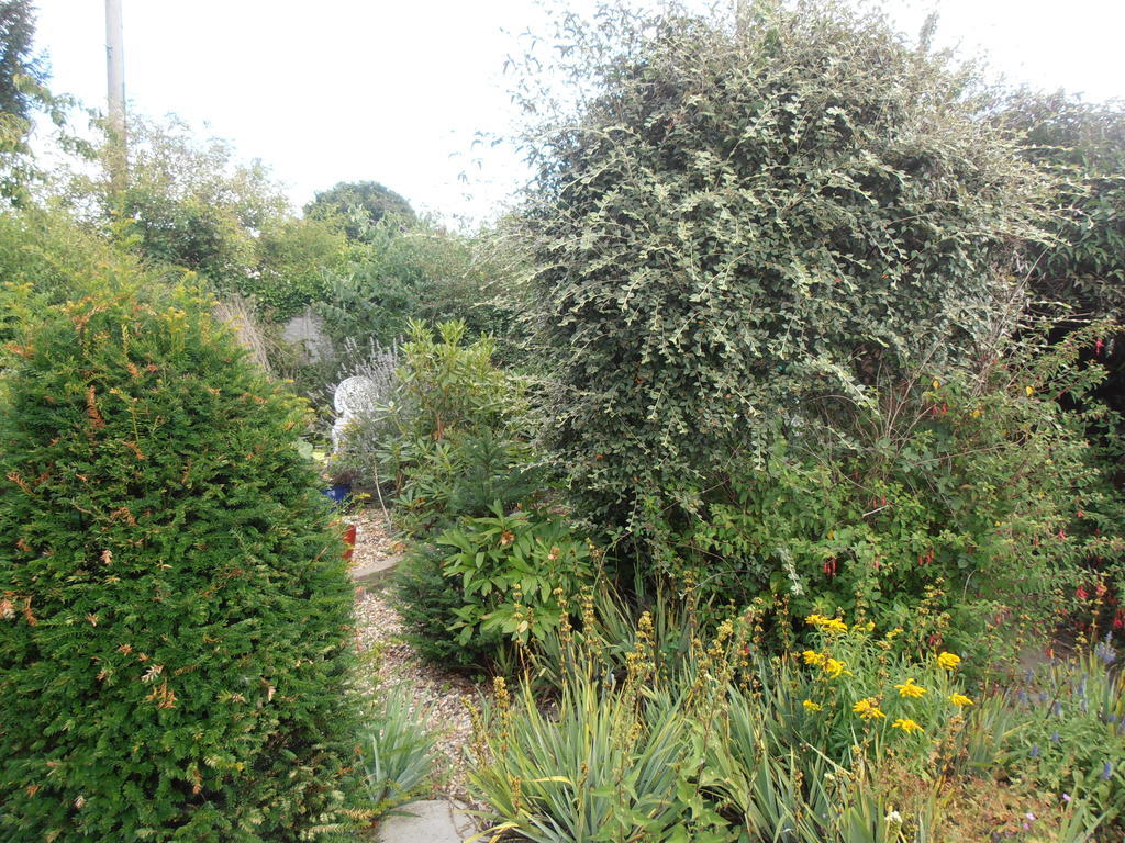 The Hideaway Suite Holiday Home Colchester Esterno foto